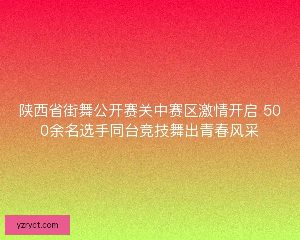 陕西省街舞公开赛关中赛区激情开启 500余名选手同台竞技舞出青春风采
